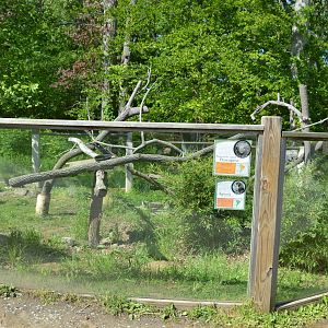 Animal Discovery Zoo - Prehensile-tail Porcupine/Agouti Exhibit