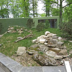 Alpine marmot enclosure