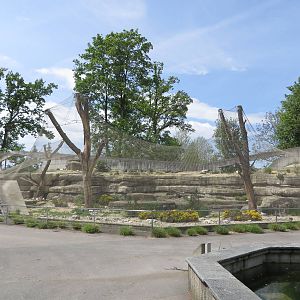 Persian leopard enclosure