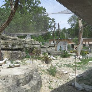 Persian leopard enclosure