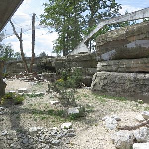Persian leopard enclosure