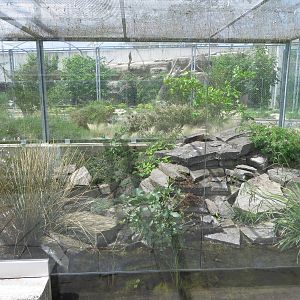 Part of the viper exhibit