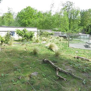 European souslik enclosure