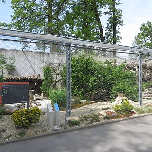 European wild cat enclosure