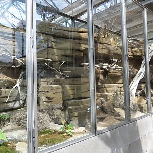 Vivarium - desert terrariums