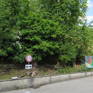 Invasive species enclosure