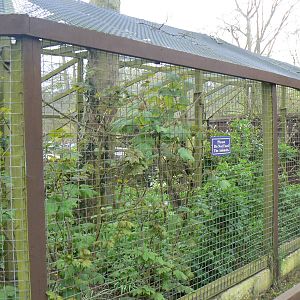 Capuchin Enclosure