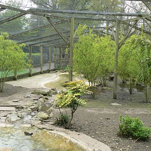 Walkthrough Aviary View From Bridge