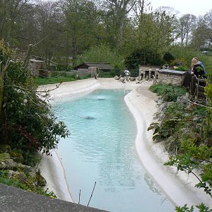 Penguin Enclosure