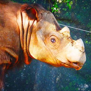 May. 2015 - Wildlife Canyon - Harapan