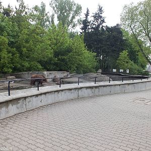 Street side Bear Enclosure