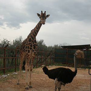 Zoo d'Abruzzo