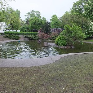 Small Temporary (hopefully) Seal Pool