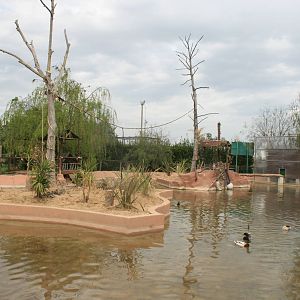 Zoo d'Abruzzo