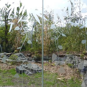 Banyan Wilds - Malayan Tiger Exhibit Glass (New in 2015)