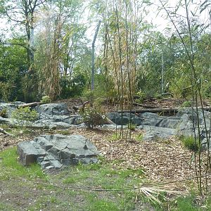 Banyan Wilds - Malayan Tiger Exhibit (New in 2015)