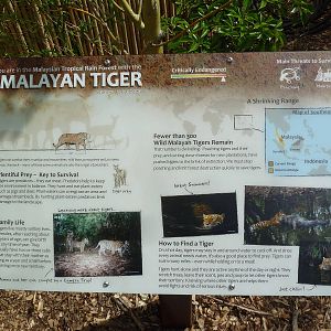 Banyan Wilds - Malayan Tiger Exhibit Sign (New in 2015)