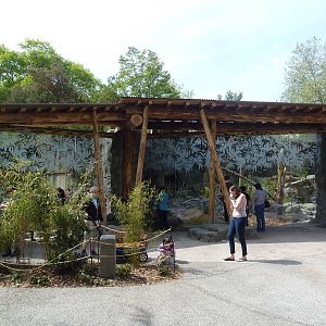 Banyan Wilds - Sloth Bear Exhibits (New in 2015)