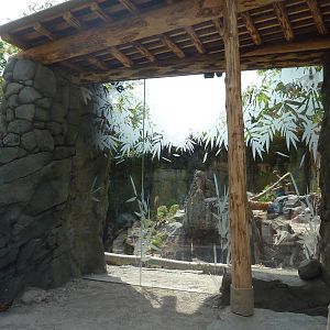Banyan Wilds - Sloth Bear Exhibit #1 (New in 2015)