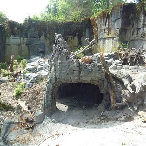Banyan Wilds - Sloth Bear Exhibit #1 (New in 2015)