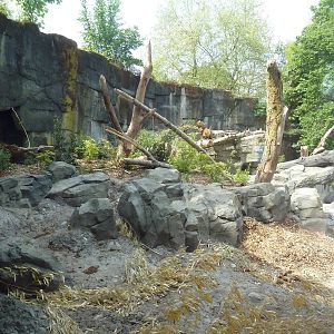 Banyan Wilds - Sloth Bear Exhibit #2 (New in 2015)