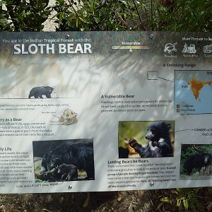 Banyan Wilds - Sloth Bear Exhibit Sign (New in 2015)