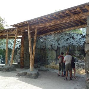 Banyan Wilds - Sloth Bear Exhibits (New in 2015)