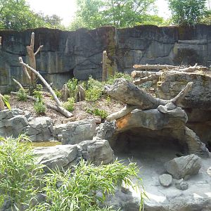 Banyan Wilds - Sloth Bear Exhibit #2 (New in 2015)