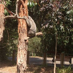 Cynthia, out on a warm day