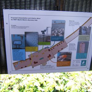 Plans for a rebuilding of the Swan Hide