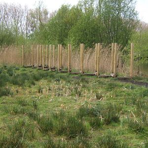 Part of the new Wild Walk trail