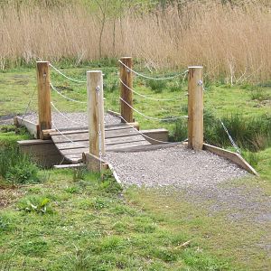 Part of the new Wild Walk trail