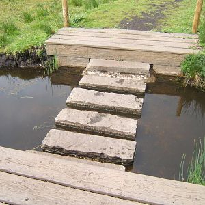 Part of the new Wild Walk trail