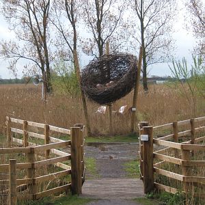 Part of the new Wild Walk trail