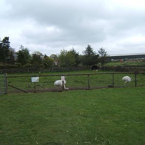 Matlock Farm Park