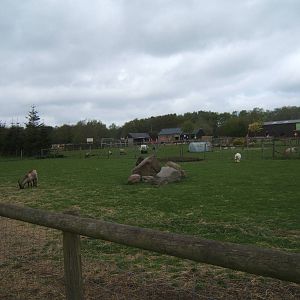 Matlock Farm Park