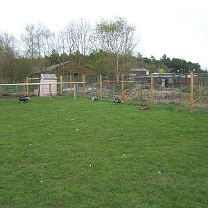 Matlock Farm Park