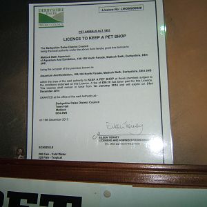 View of Pet shop licence