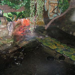 View of turtle exhibit