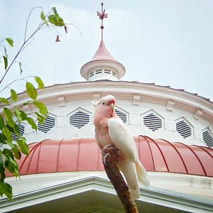 May. 2015 - Henry + the Reptile House