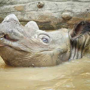 May. 2015 - Wildlife Canyon - Harapan