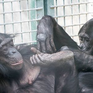 Donnie with his mom Susie?