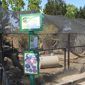 Ground hornbill cage