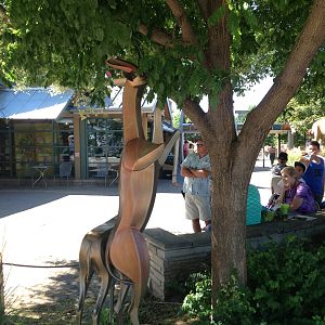 8/24/2014 - Gerenuk Statues