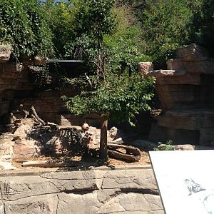 8/24/2014 - Red Panda Grotto