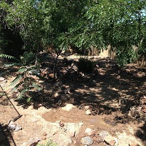 8/24/2014 - Warthog Exhibit