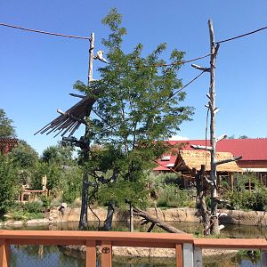 8/24/2014 - Gibbon Island