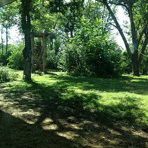 8/24/2014 - Left Half of the Gorilla Habitat