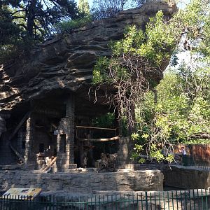 8/24/2014 - Coati Exhibit