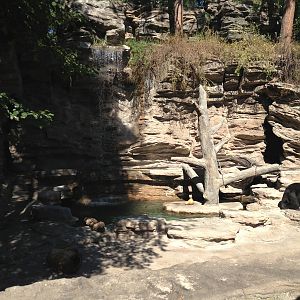 8/24/2014 - Asian Black Bear Grotto
